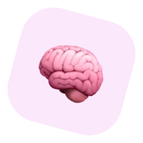 brain